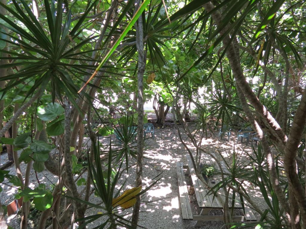 Ed & Ellen'S Lodgings Key Largo Motel Bagian luar foto