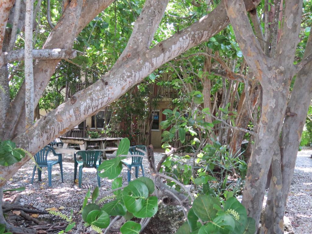 Ed & Ellen'S Lodgings Key Largo Motel Bagian luar foto