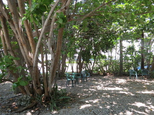 Ed & Ellen'S Lodgings Key Largo Motel Bagian luar foto