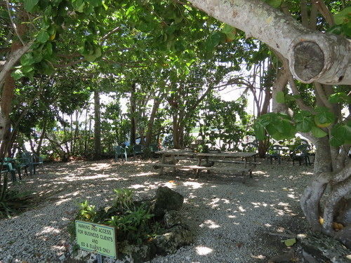 Ed & Ellen'S Lodgings Key Largo Motel Bagian luar foto