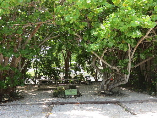 Ed & Ellen'S Lodgings Key Largo Motel Bagian luar foto
